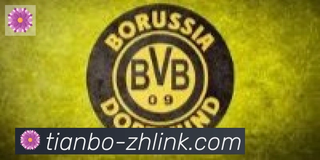 天博官网合作伙伴